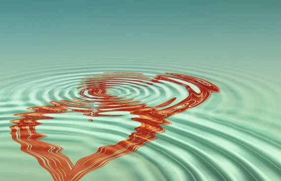 BoVegas Kazino Atbalsts